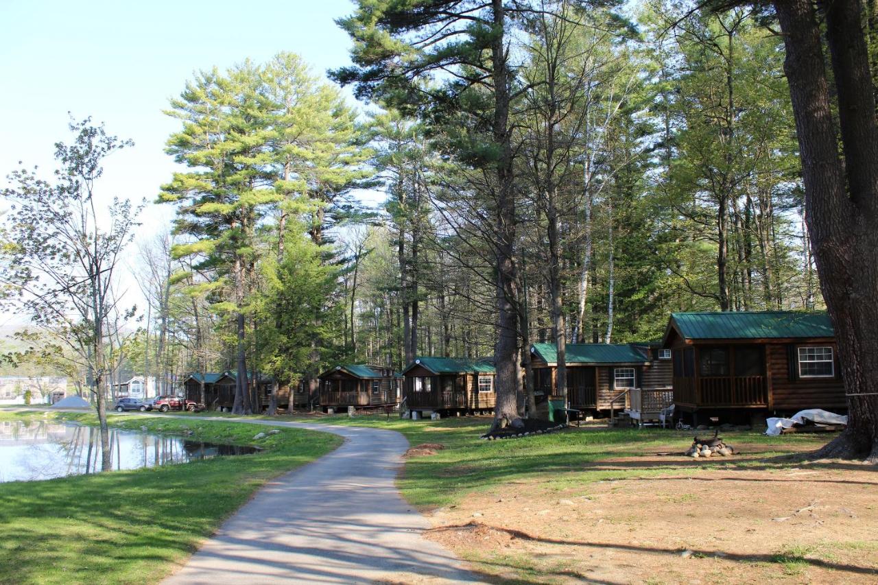  | Alpine Lake Lakefront Cabin 5