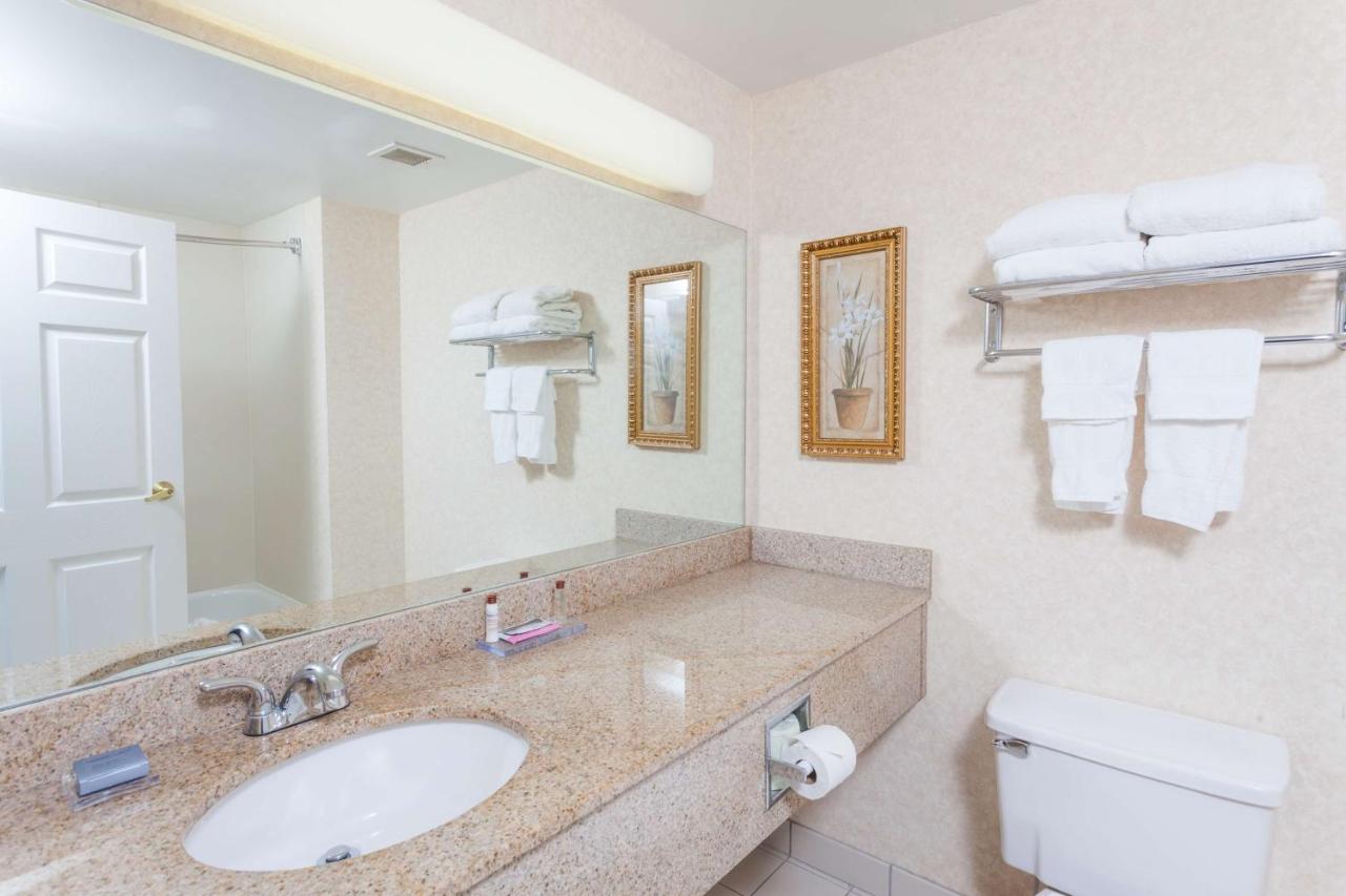 Deluxe One-Bedroom King Suite - Non-Smoking at Wingate by Wyndham Atlanta/Six Flags Austell