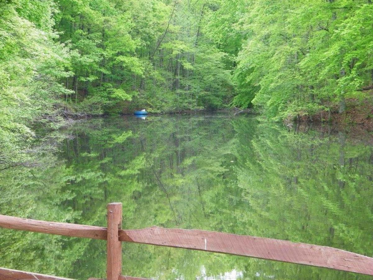 | Lake Myers Lakeside Villa 16