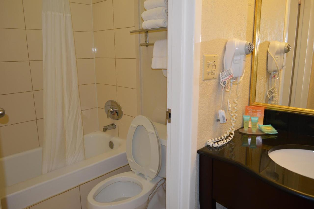 Renovated Pool View King at Opal Hotel & Suites