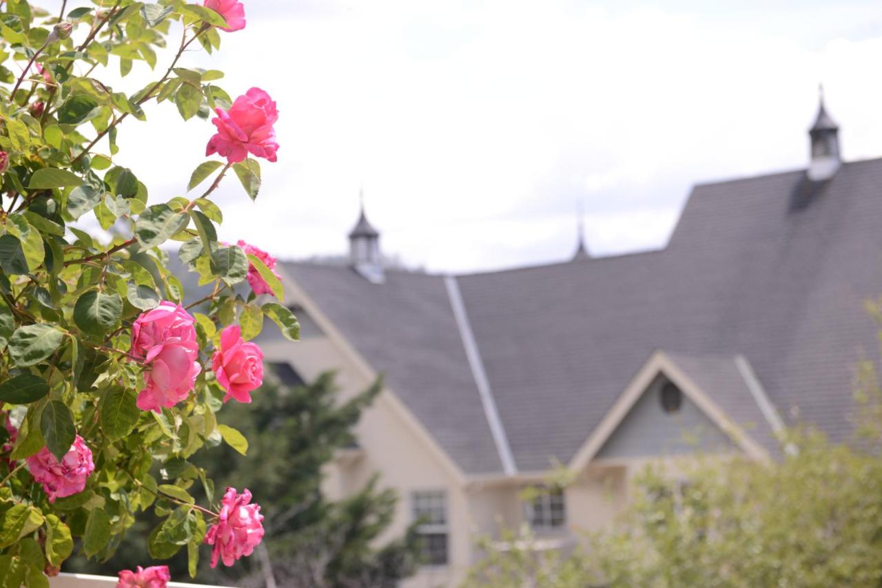 | Hounds Tooth Inn
