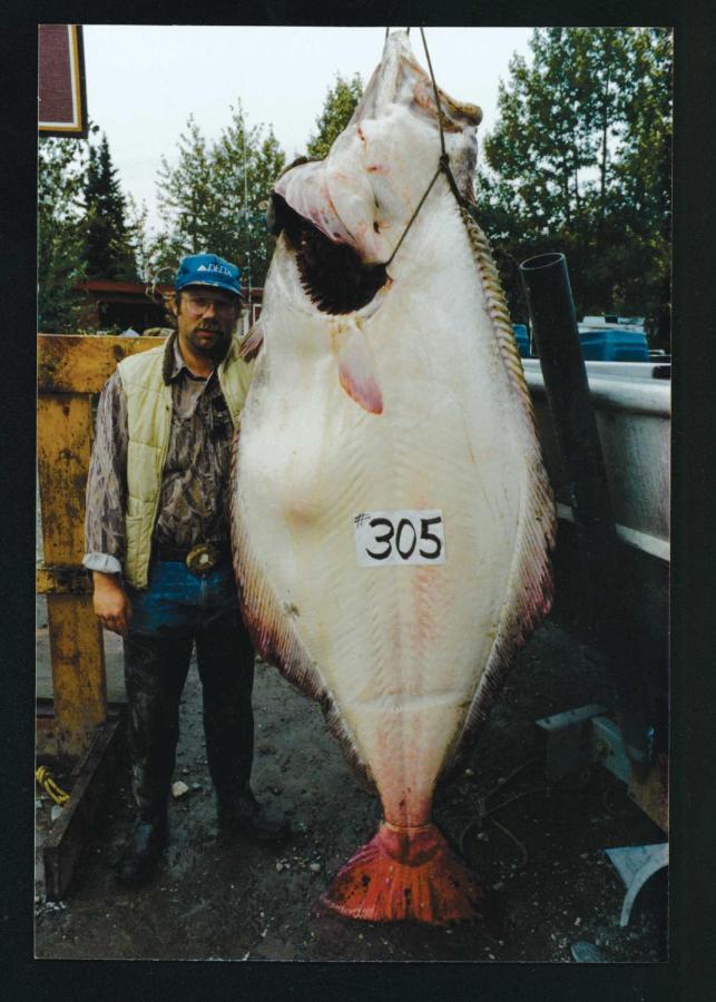 | Alaska's Kenai Jim's Lodge & Guide Service
