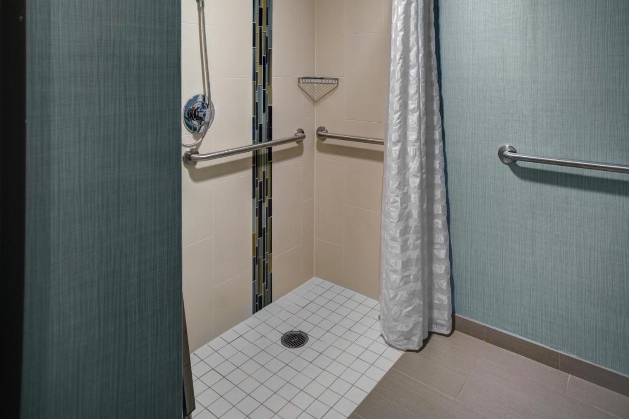 King Room with Roll-In Shower - Disability Access at Hyatt Place Detroit/Livonia