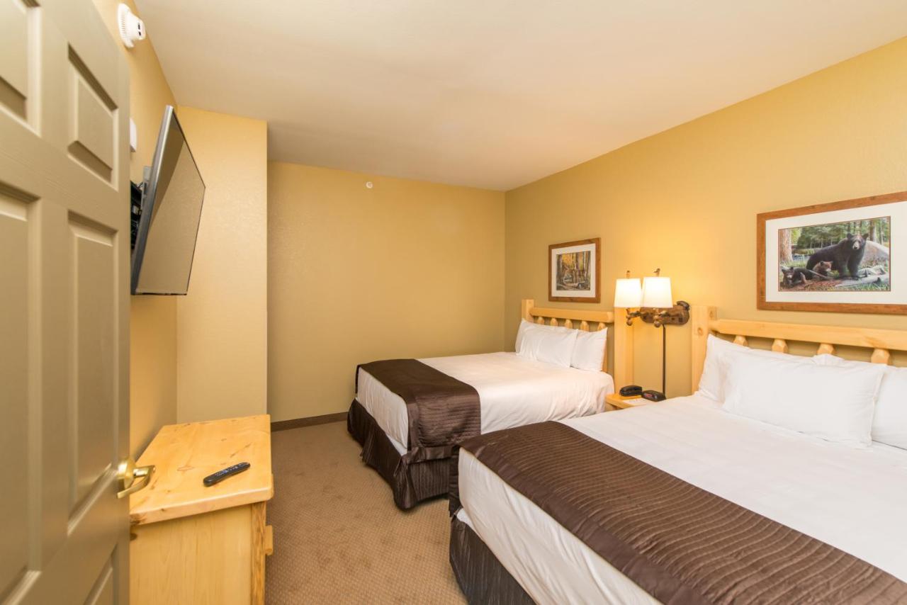 Grizzly Bear Suite - Water Park Included at Great Wolf Lodge Concord