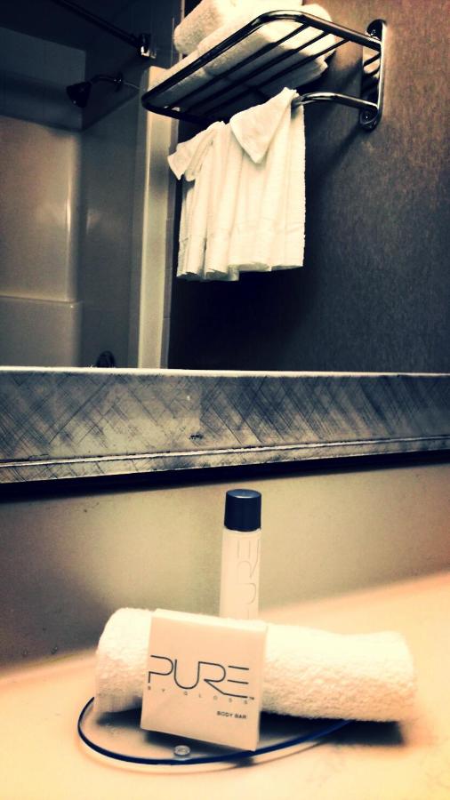 Standard Queen Room at Motel 6 Hastings, NE