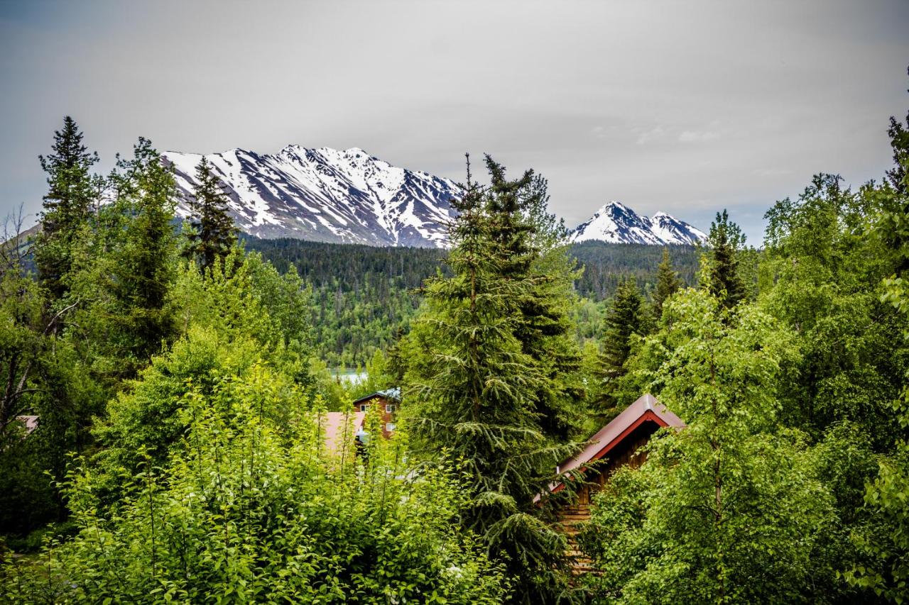 | Midnight Sun Log Cabins