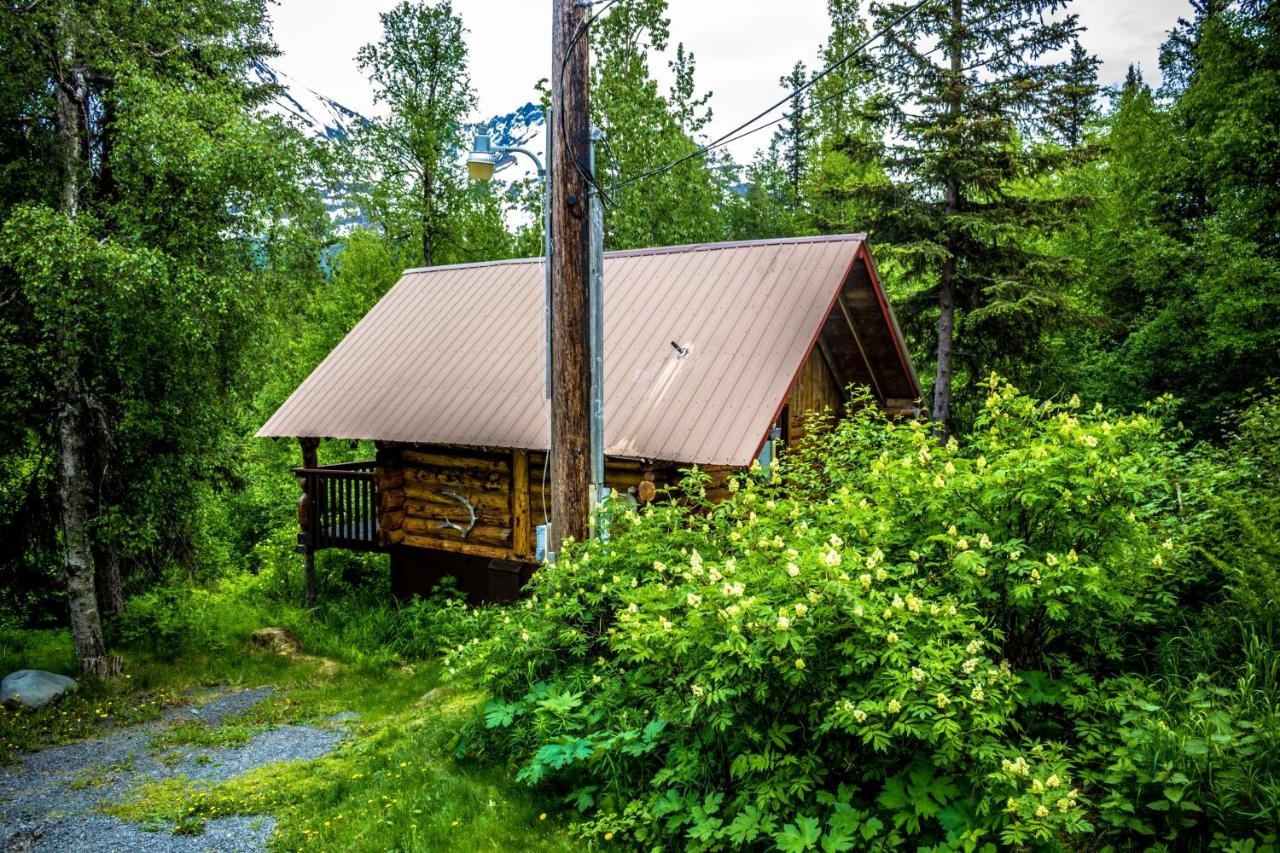  | Midnight Sun Log Cabins
