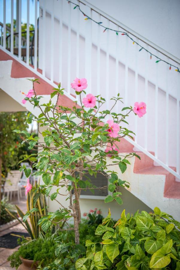  | Shore Haven Resort Inn