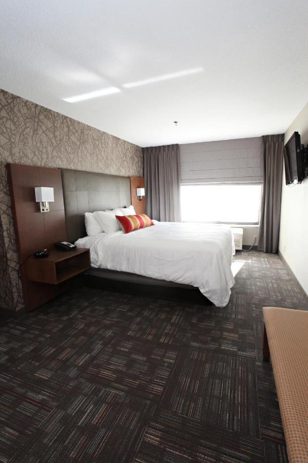 King Suite with Sofa Bed at Best Western Plus Cottontree Inn