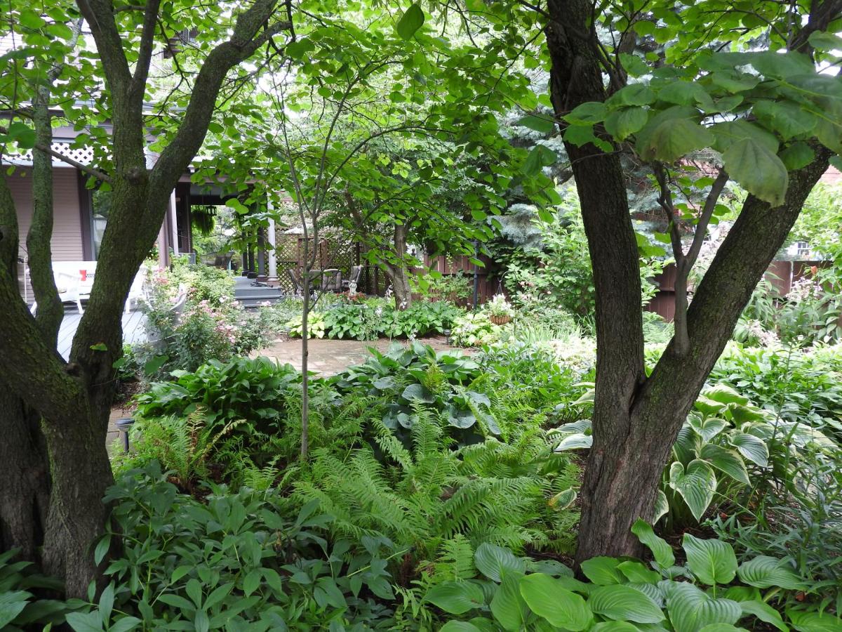 | Champaign Garden Inn