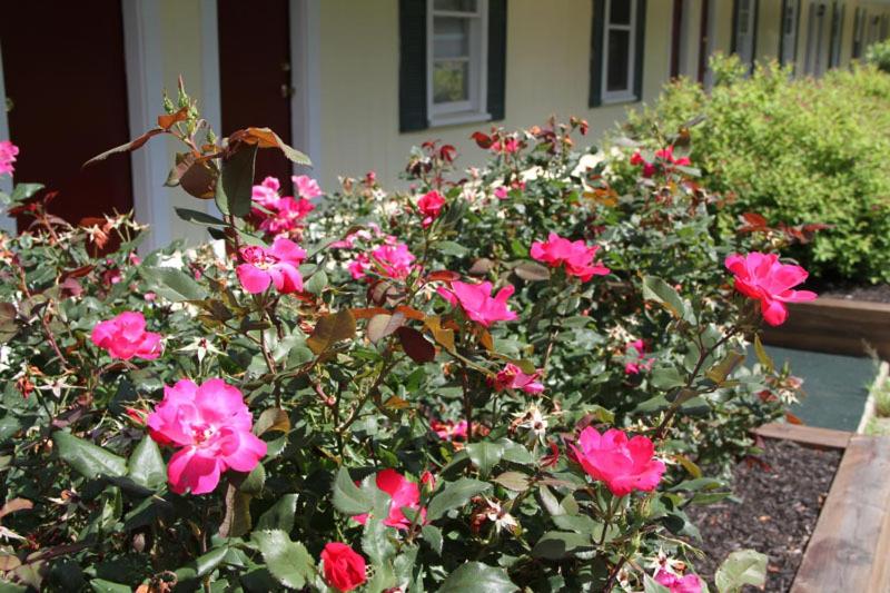 | Lodge at Kennebunk
