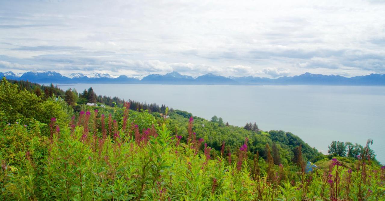 | Brigitte's Bavarian Bed und Breakfast