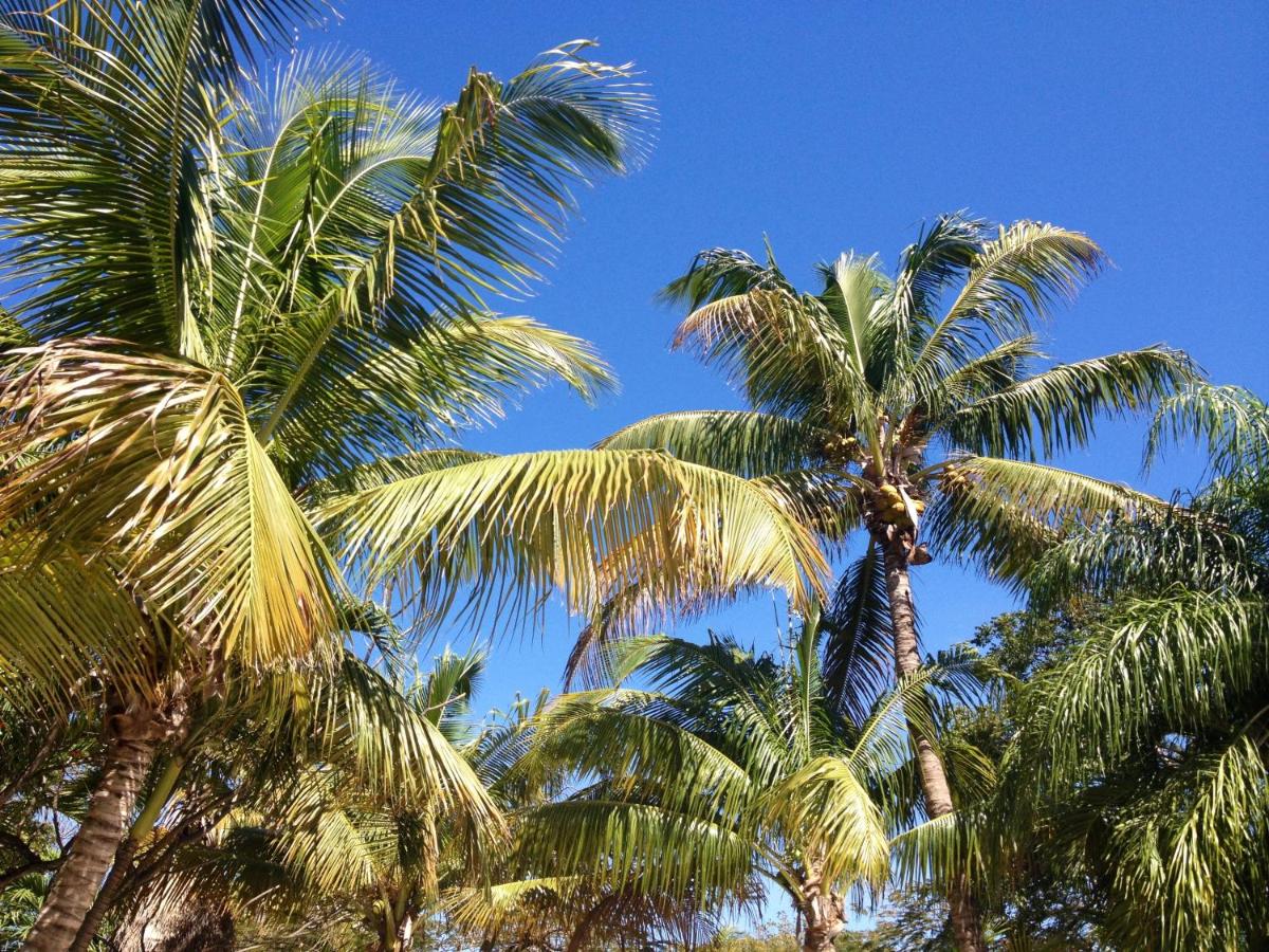 | The Pelican Key Largo Cottages