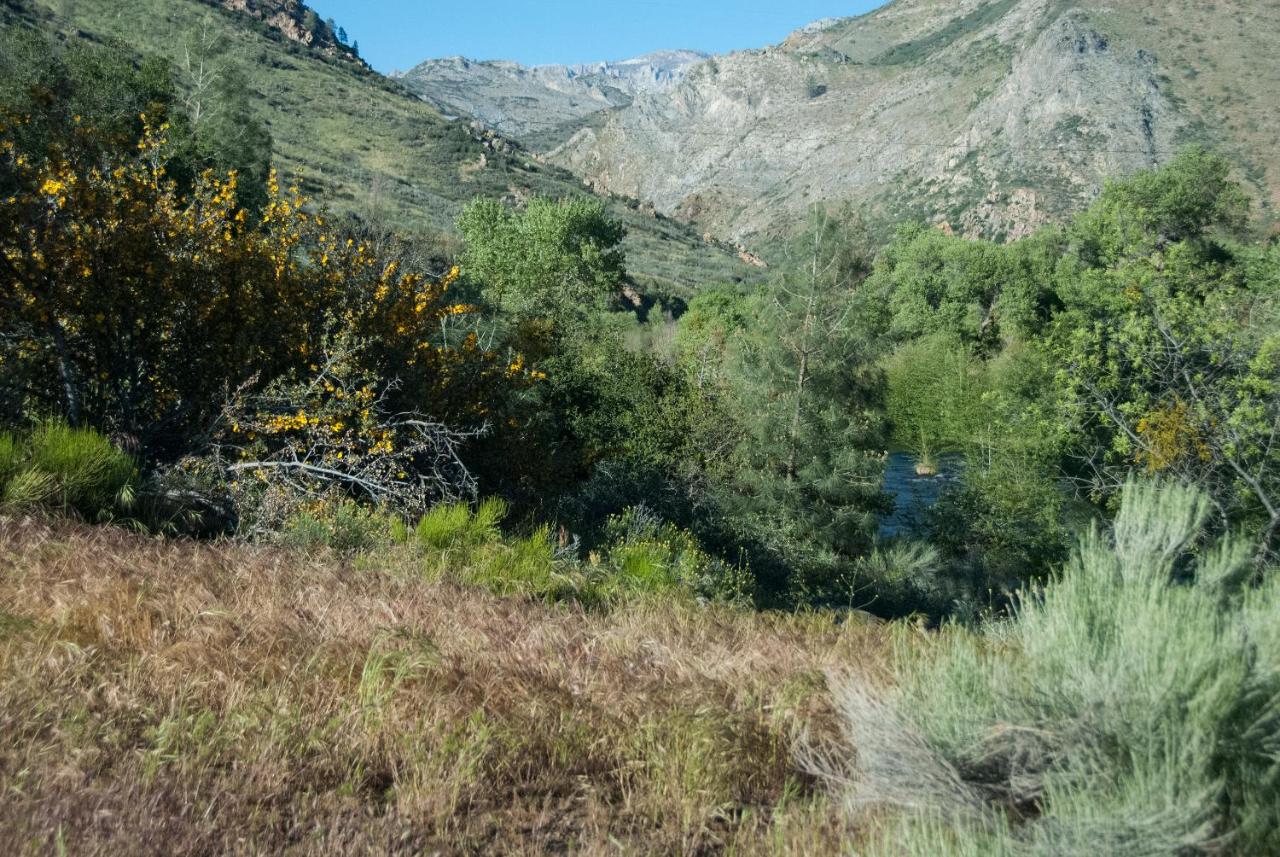 | Corral Creek Lodge
