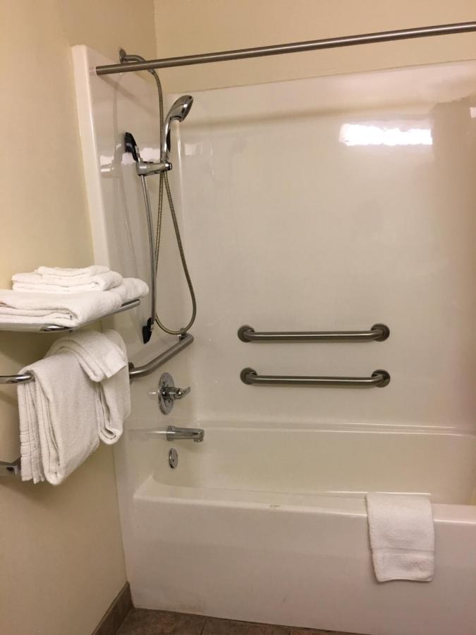 Queen Room - Disability Access/Non-Smoking at Microtel Inn & Suites by Wyndham Indianapolis Airport