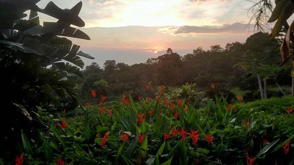 | Hale Hualalai