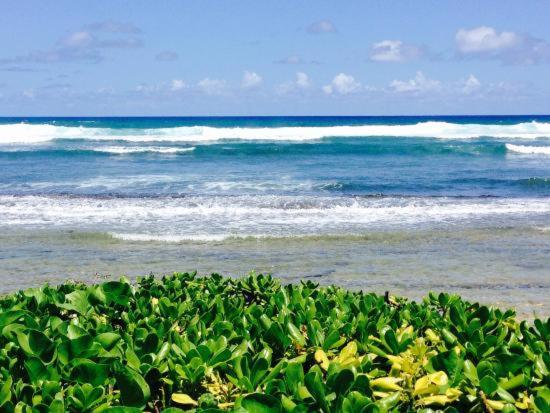 | 2417 at Oceanfront Resort Lihue Kauai Beach Drive Private Condo