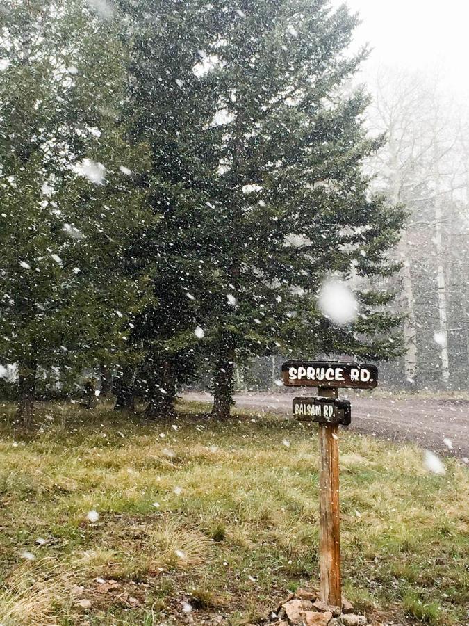 | Arrowhead Mountain Lodge