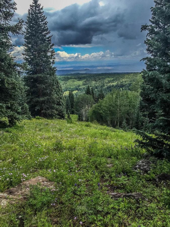 | Arrowhead Mountain Lodge
