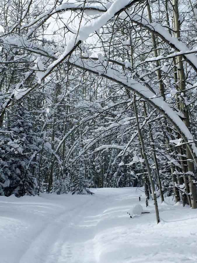 | Arrowhead Mountain Lodge
