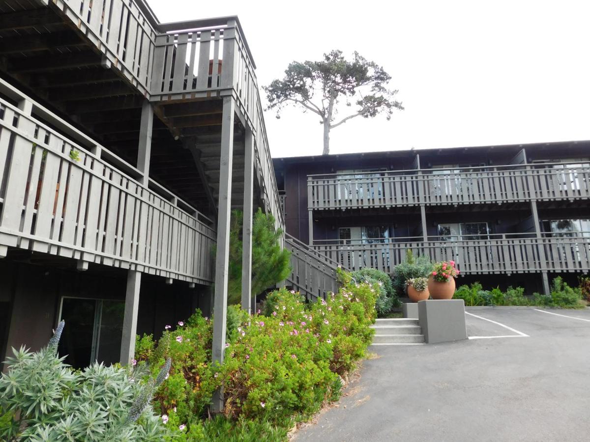 | The Olympia Lodge