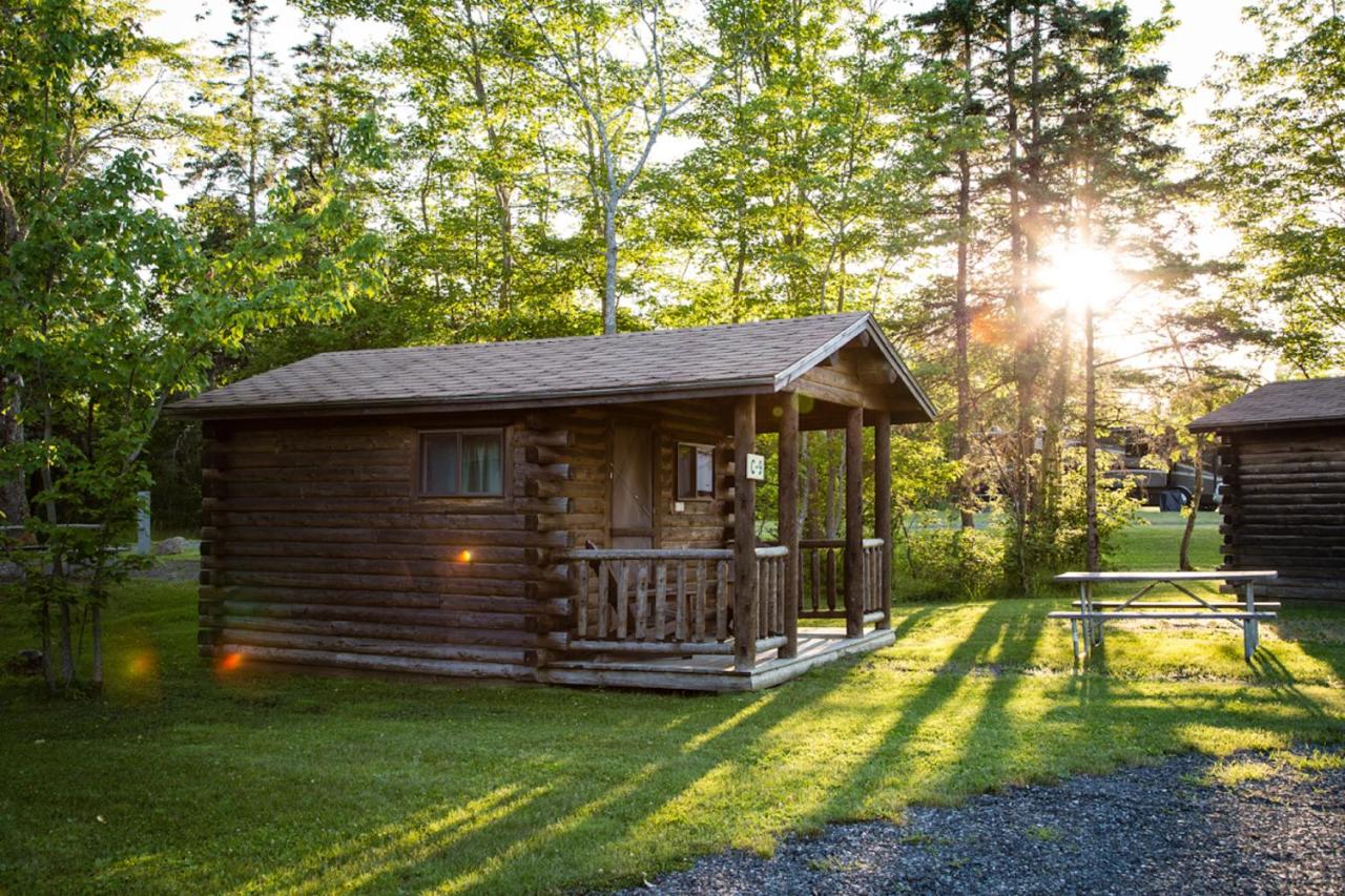 | Narrows Too Camping Resort Cabin 6