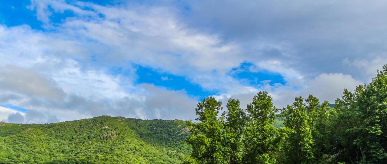 | Smoketree Lodge, a VRI resort