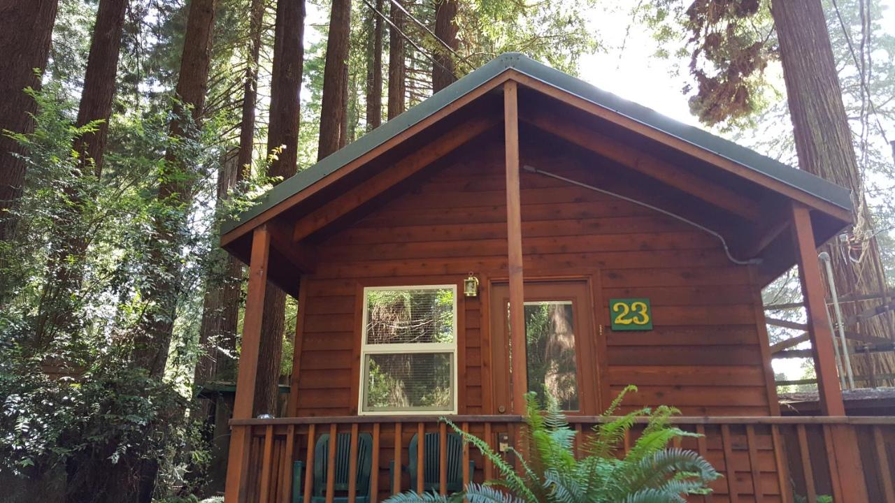 | Emerald Forest Cabins