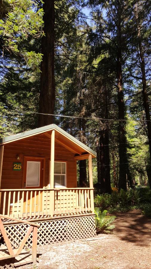 | Emerald Forest Cabins