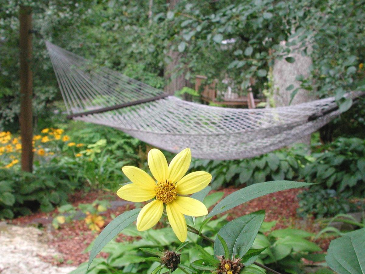 | Brook Farm Inn