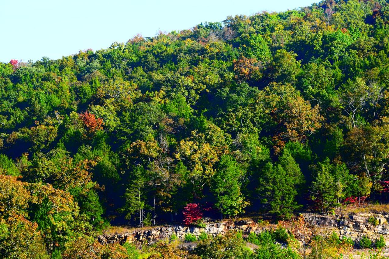 | Multi Resorts at Eagles Nest