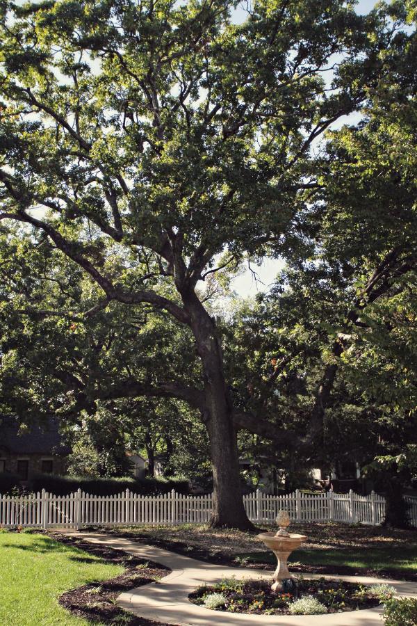 | The Victoria Bed & Breakfast
