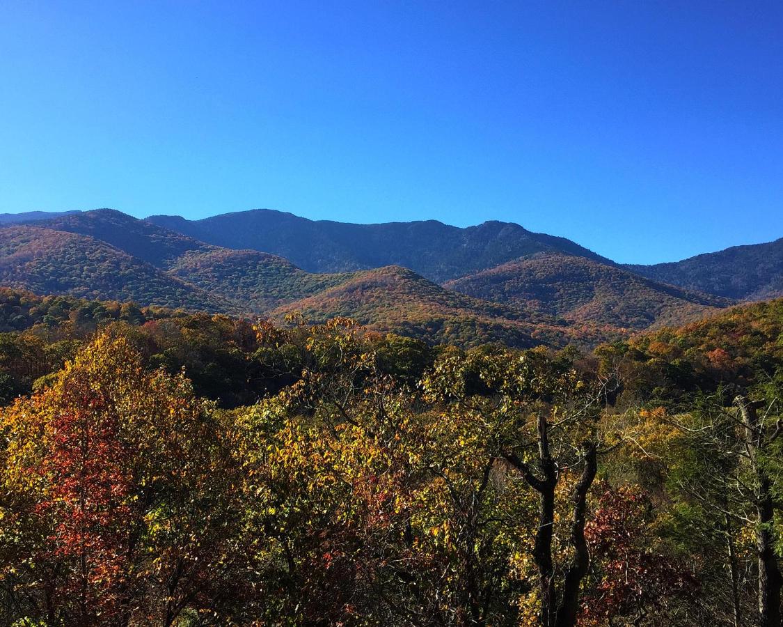 | Mt Mitchell Cabin Rentals