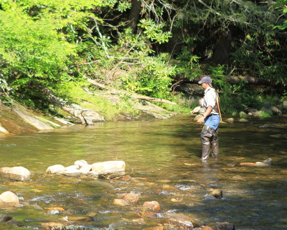 | Mt Mitchell Cabin Rentals