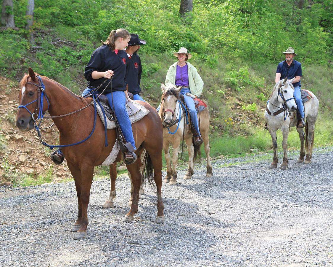 | Mt Mitchell Cabin Rentals