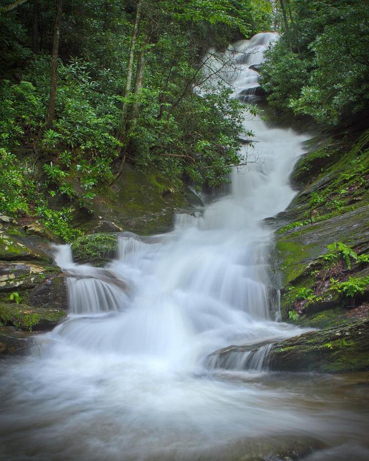 | Mt Mitchell Cabin Rentals