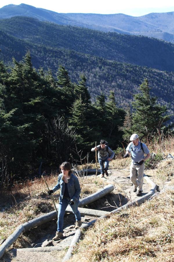 | Mt Mitchell Cabin Rentals
