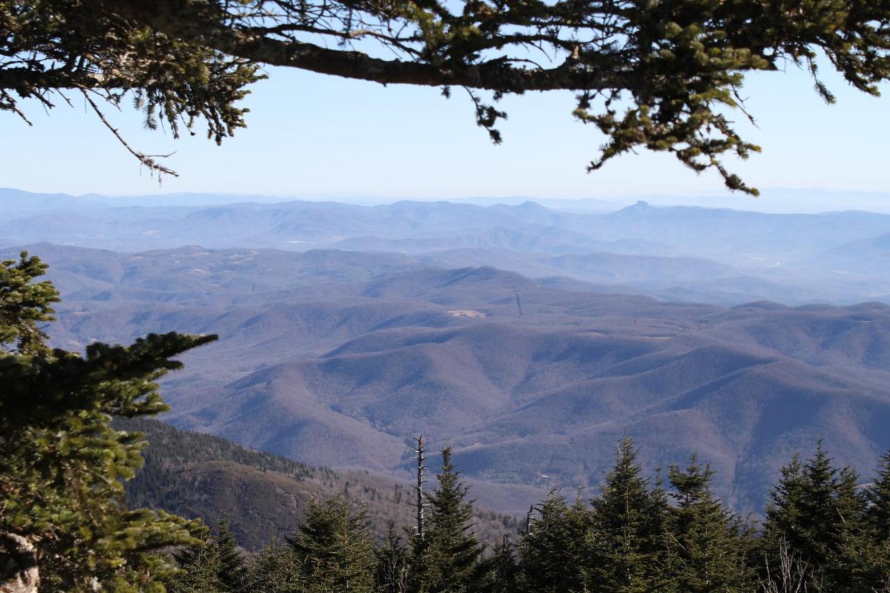 | Mt Mitchell Cabin Rentals