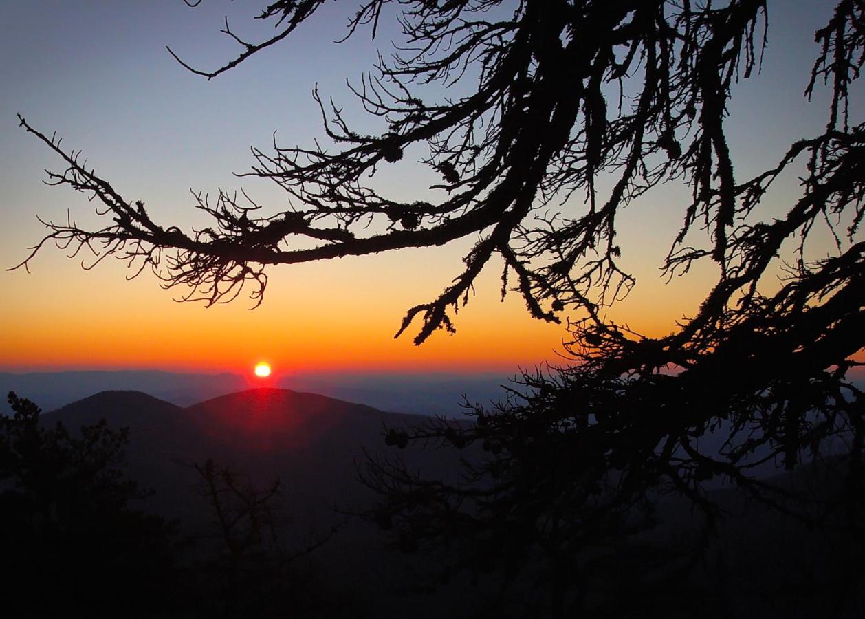 | Mt Mitchell Cabin Rentals