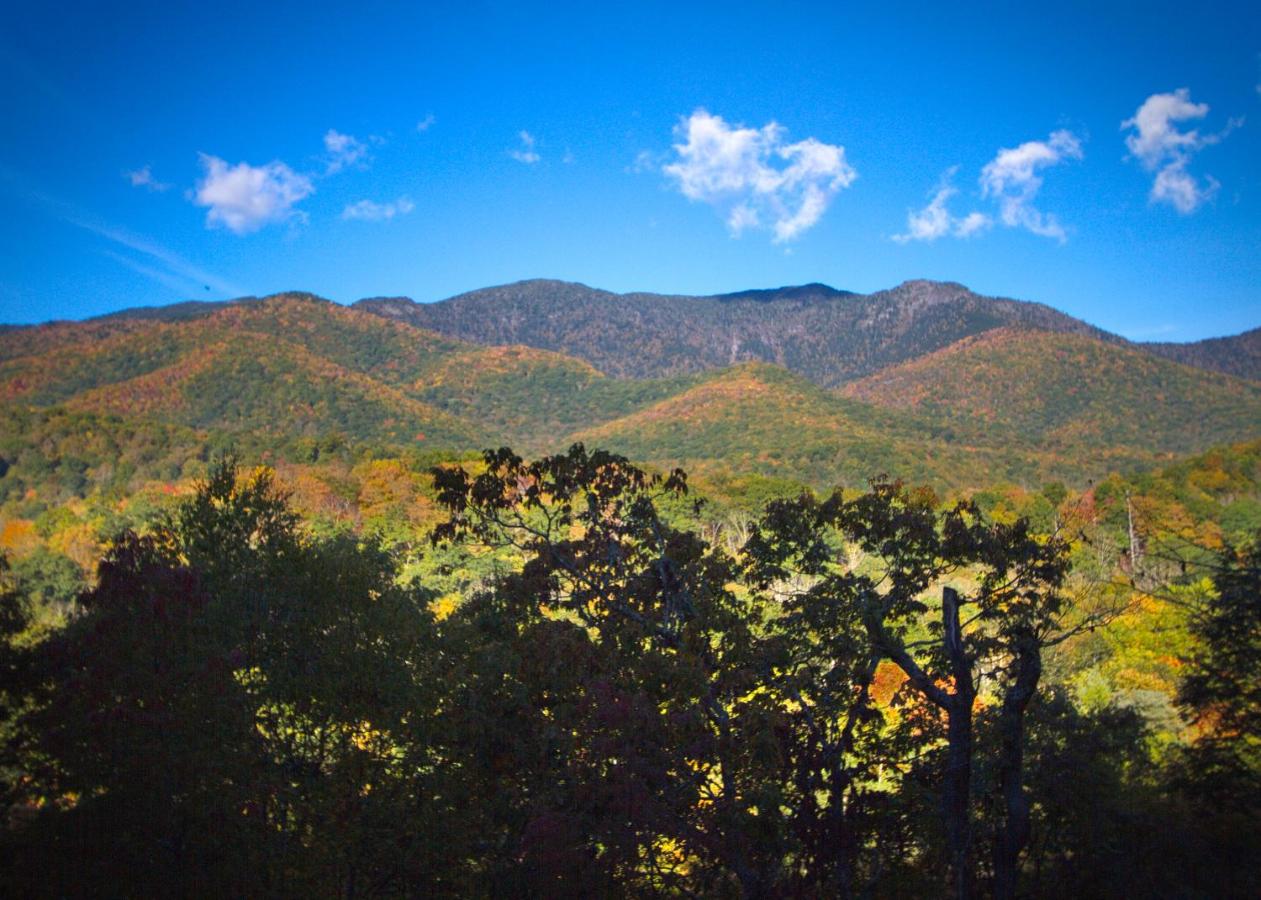 | Mt Mitchell Cabin Rentals