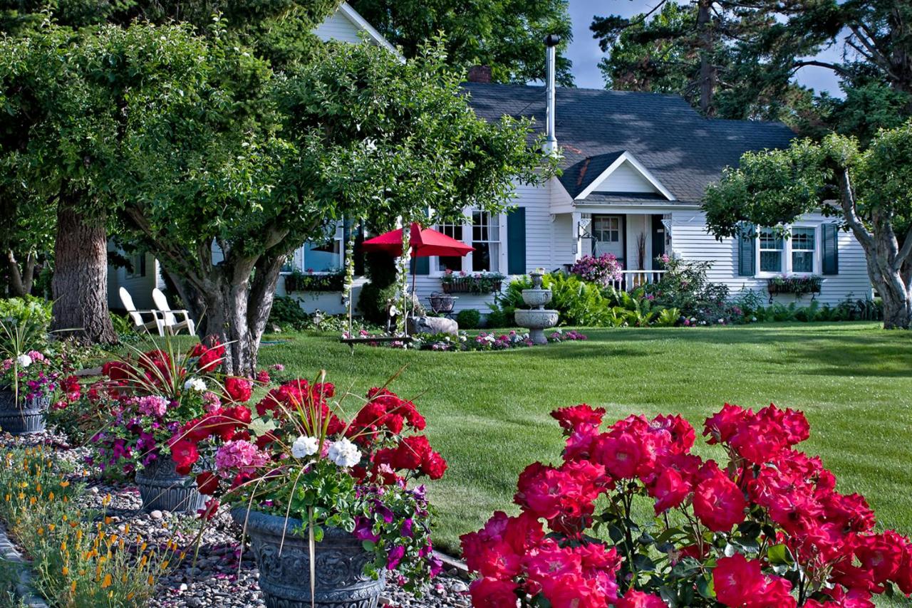 | Cozy Rose Inn