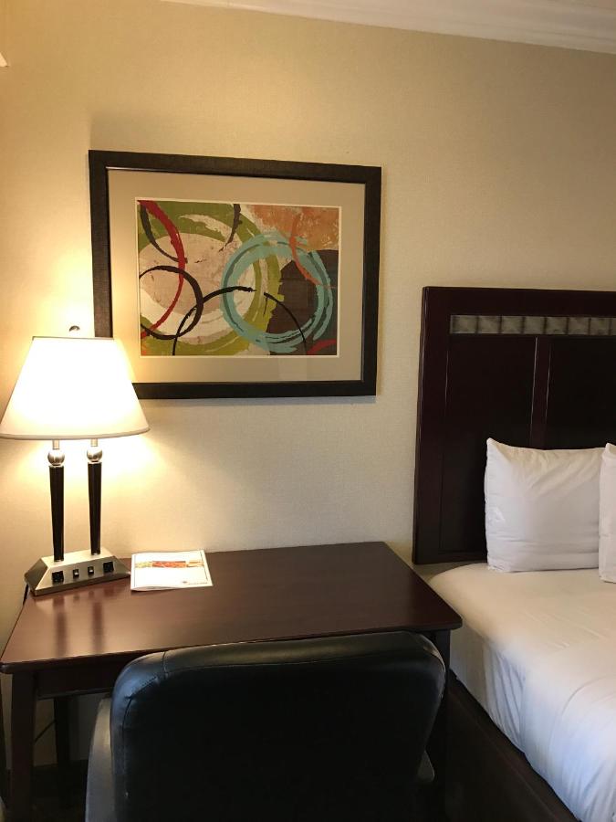 Standard Queen Room at Oak Tree Inn