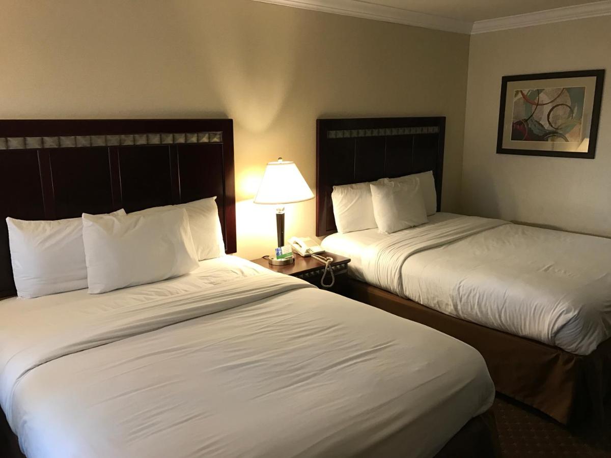 Standard Queen Room at Oak Tree Inn