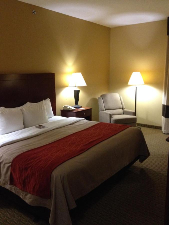 King Room - Disability Access/Non-Smoking at Comfort Inn Henderson - Evansville South