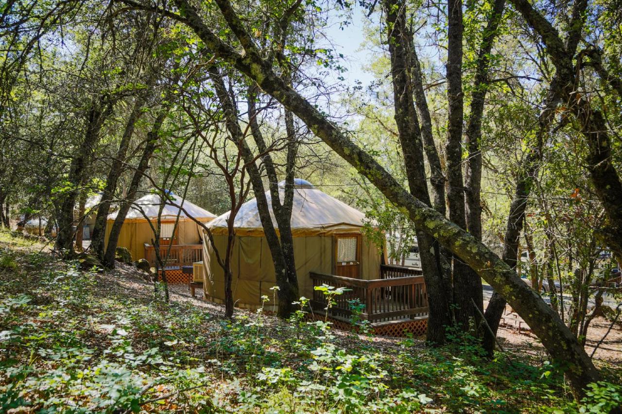 | Lake of the Springs Camping Resort Yurt 6
