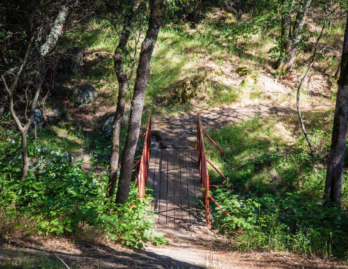 | Lake of the Springs Camping Resort Yurt 2