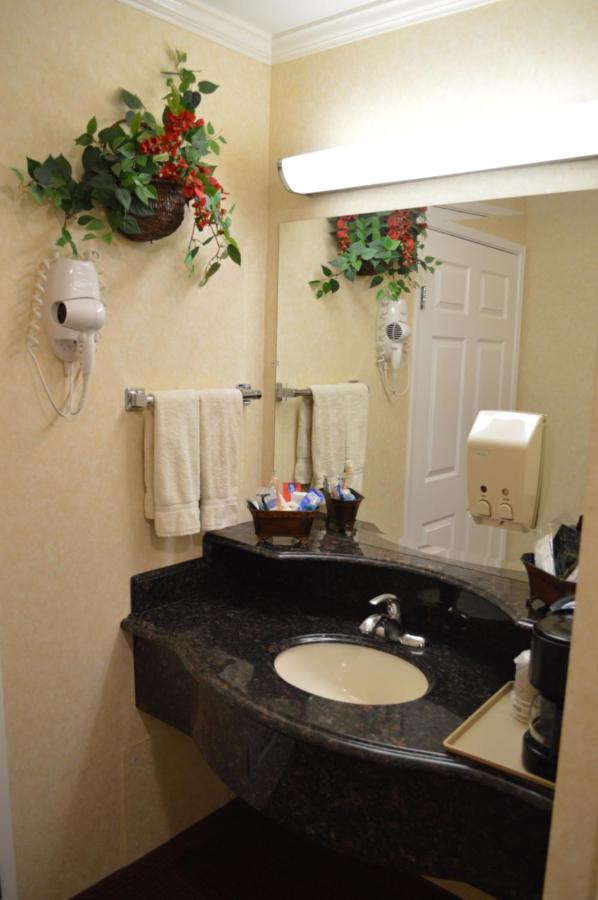 Deluxe Single Queen at Dynasty Suites Redlands