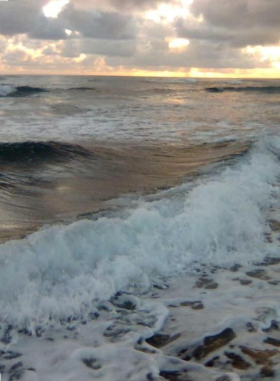 | 2417 at Oceanfront Resort Lihue Kauai Beach Drive Private Condo