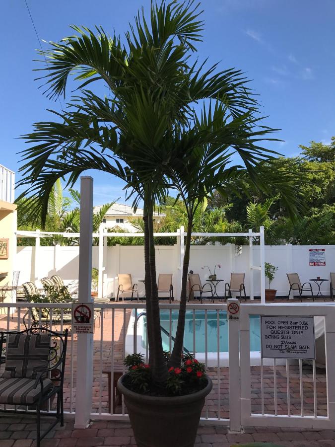 | The Big Coconut Guesthouse - Gay Men's Resort