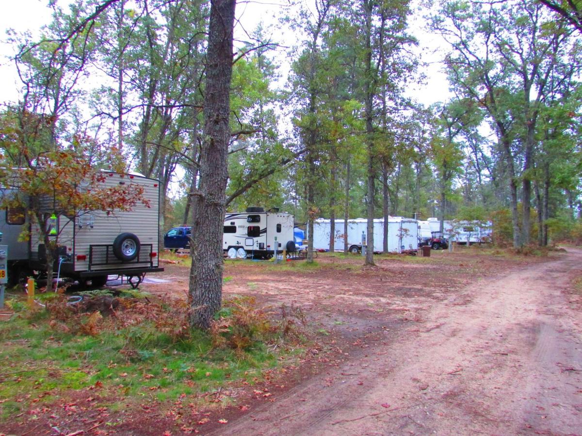 | Best Bear Lodge